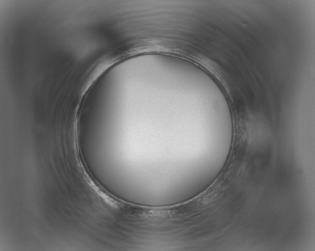 X0000052921290200507151541