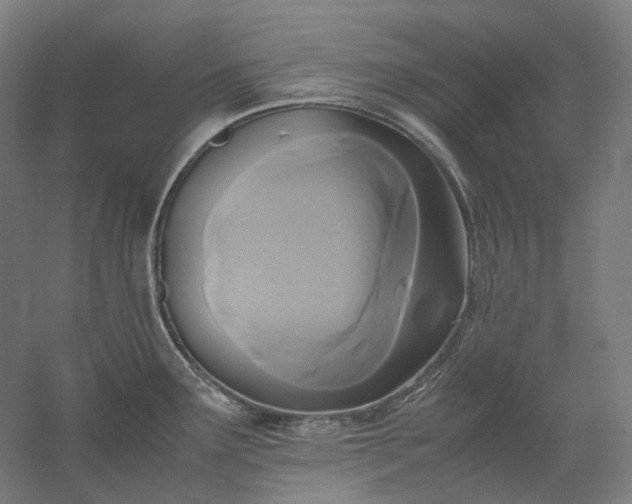 X0000052921291200507151541