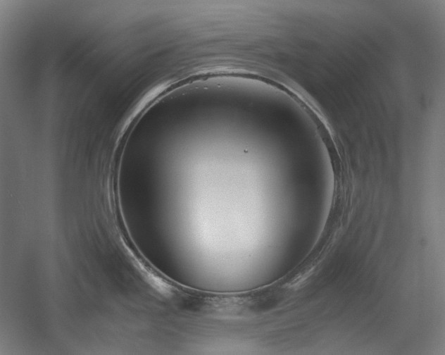 X0000052921293200507151541