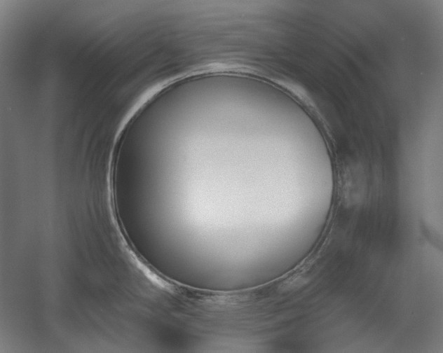 X0000052921294200507151541