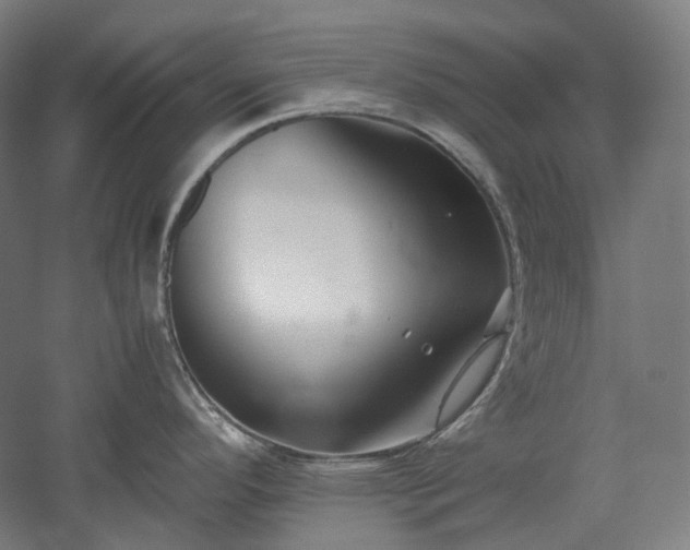 X0000052921296200507151540