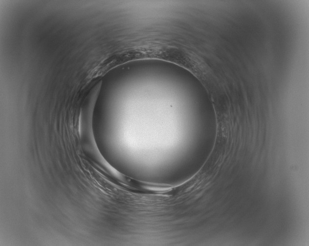 X0000052921298200507151540