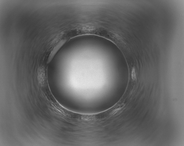 X0000052921299200507151540