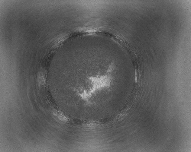 X0000052921300200507151540