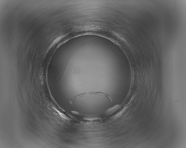 X0000052921306200507151540