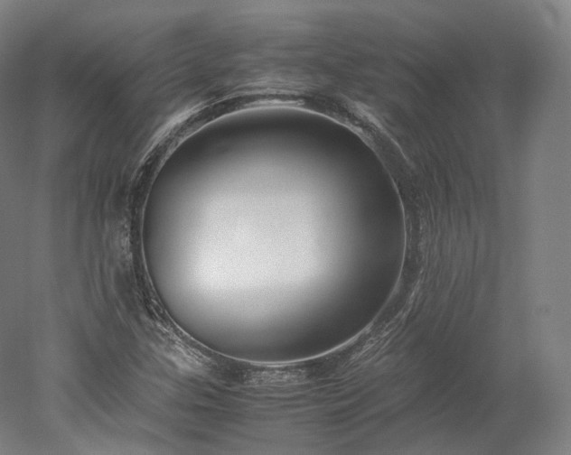 X0000052921307200507151540