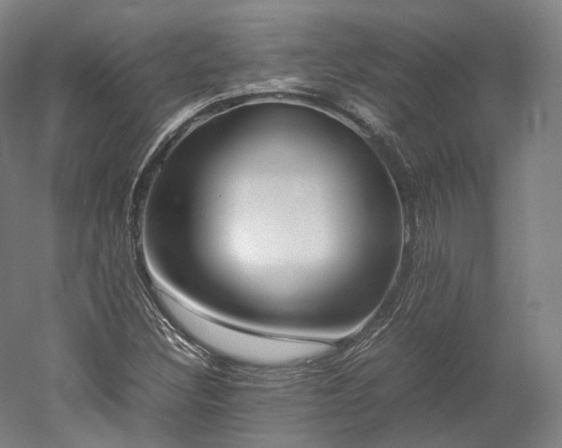 X0000052921308200507151540