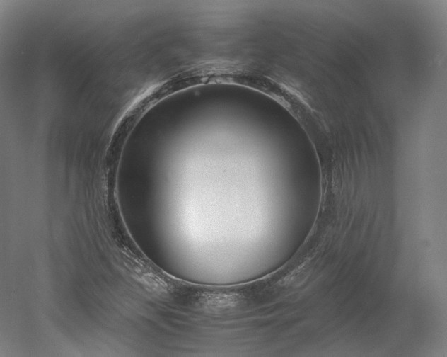 X0000052921309200507151540