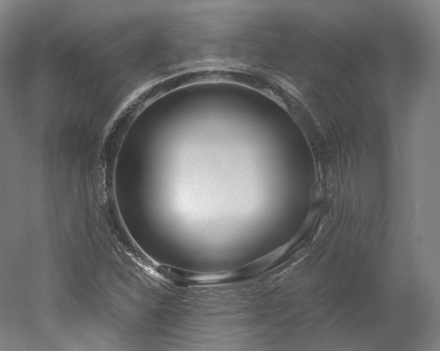 X0000052921310200507151540