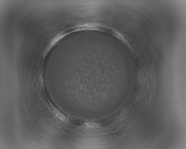 X0000052921312200507151540