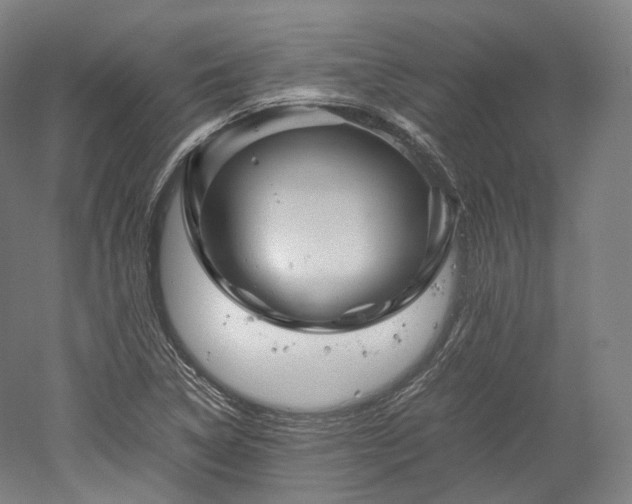 X0000052921314200507151540