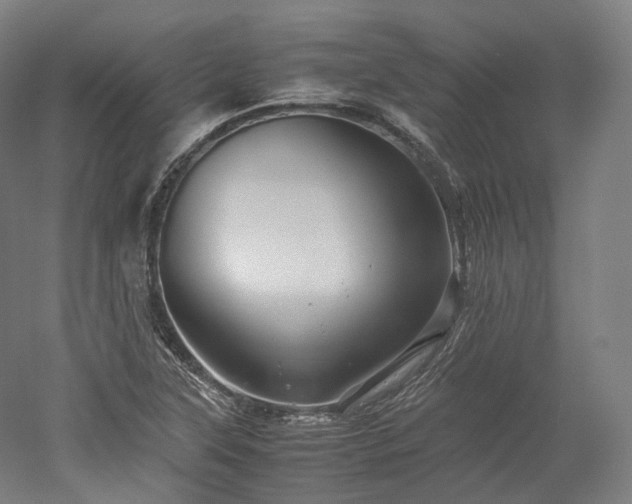 X0000052921315200507151540