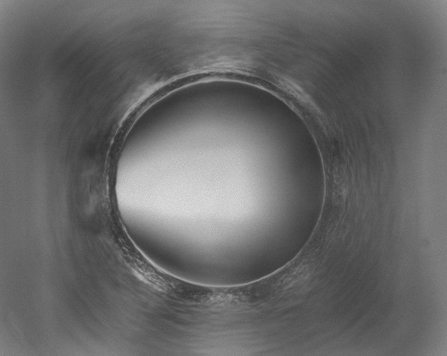 X0000052921316200507151540