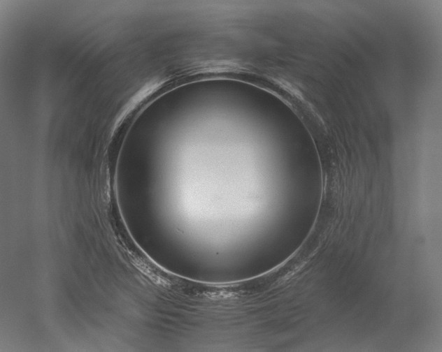 X0000052921317200507151540