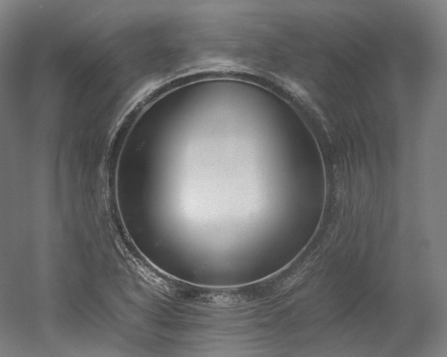 X0000052921318200507151540