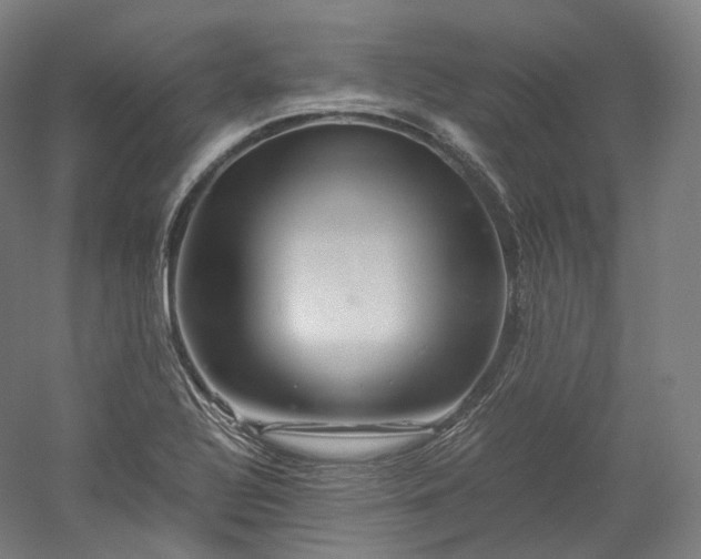 X0000052921320200507151540