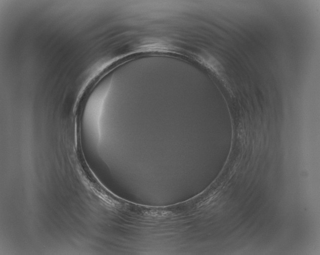 X0000052921323200507151540