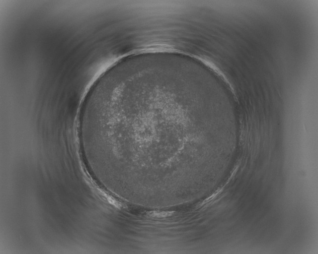 X0000052921325200507151540