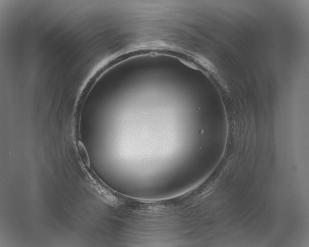 X0000052921326200507151540
