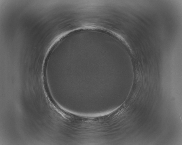 X0000052921327200507151540