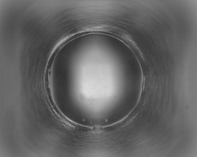 X0000052921328200507151540