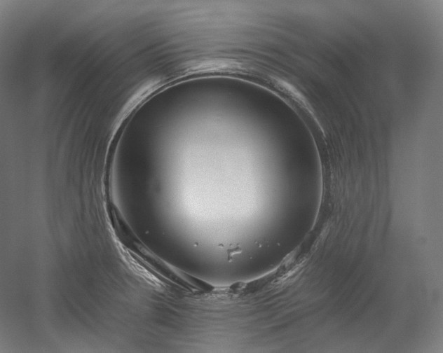 X0000052921330200507151540