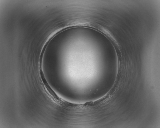 X0000052921332200507151540