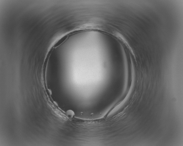 X0000052921336200507151540