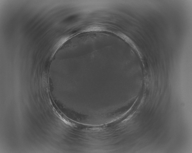 X0000052921337200507151540