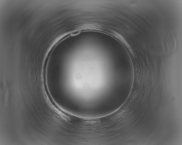 X0000052921339200507151540