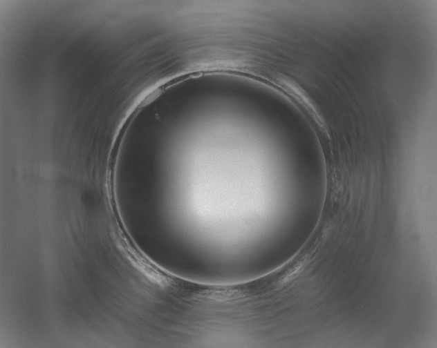 X0000052921340200507151540