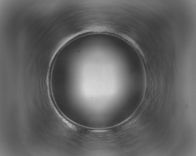 X0000052921343200507151540