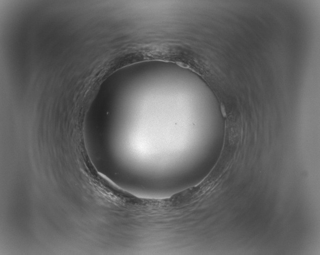 X0000052921345200507151540