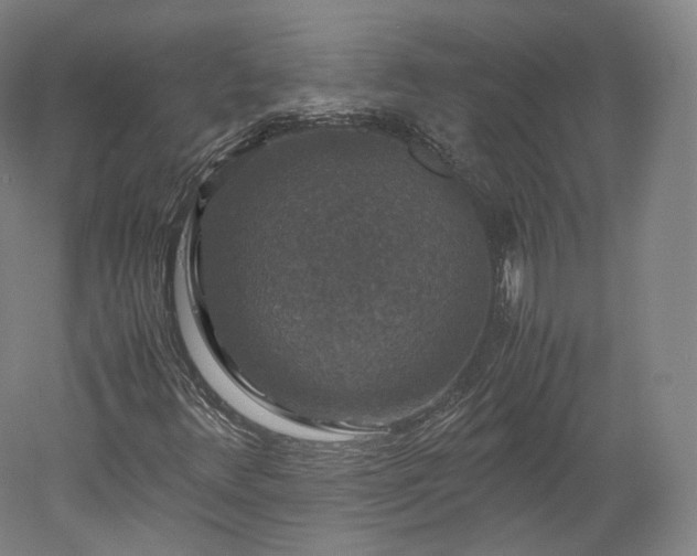X0000052921348200507151540