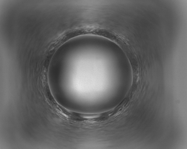 X0000052921349200507151540