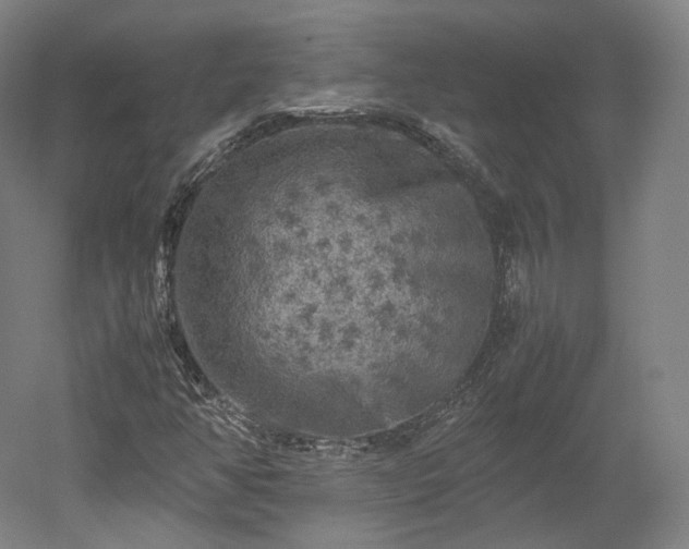 X0000052921350200507151540