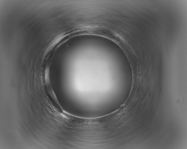 X0000052921354200507151540