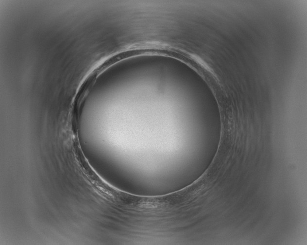 X0000052921364200507151539