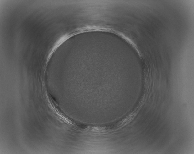 X0000052921365200507151539