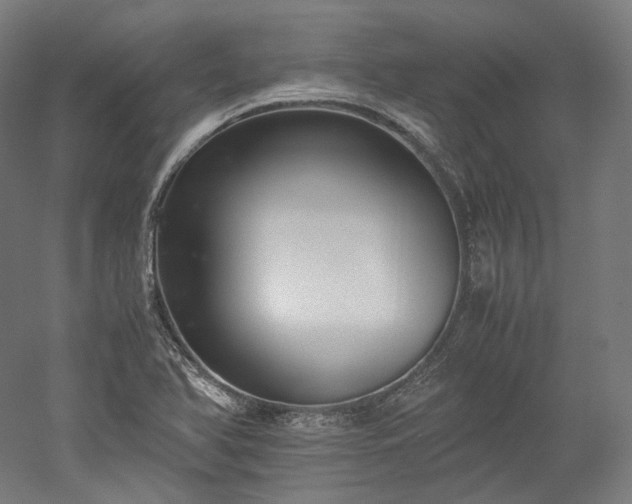 X0000052921366200507151539