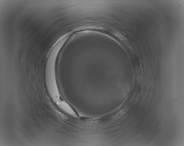 X0000052921369200507151539