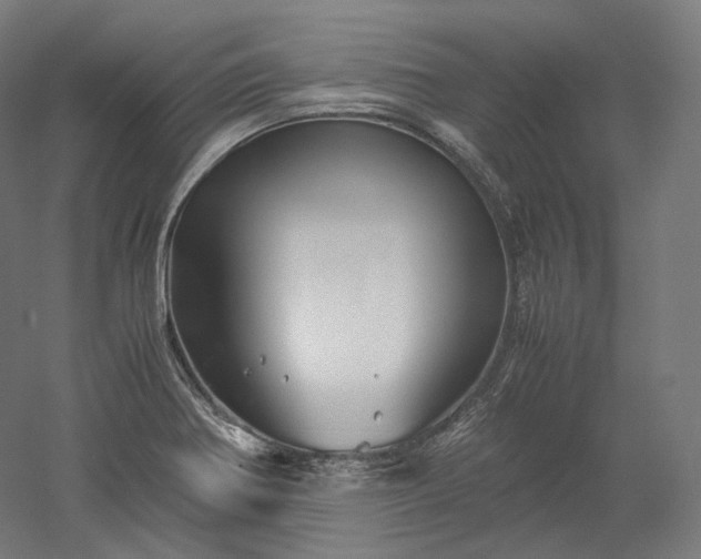 X0000052921370200507151539