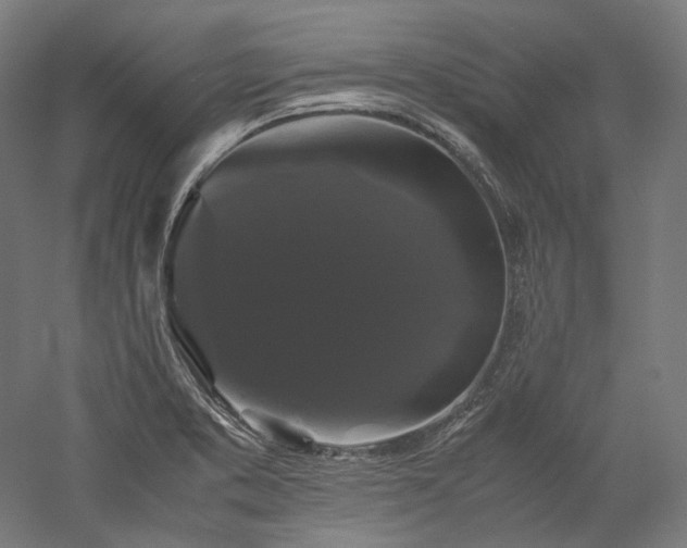 X0000052921373200507151539