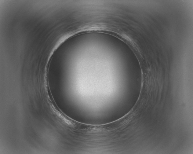 X0000052921374200507151539