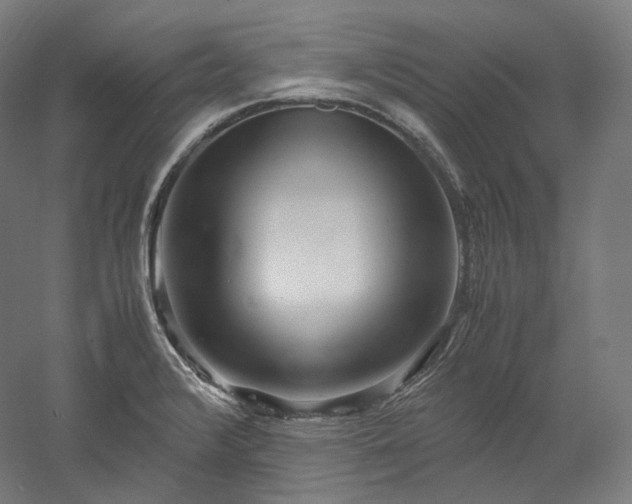 X0000052921376200507151539