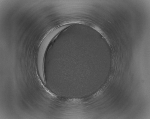 X0000052921377200507151539