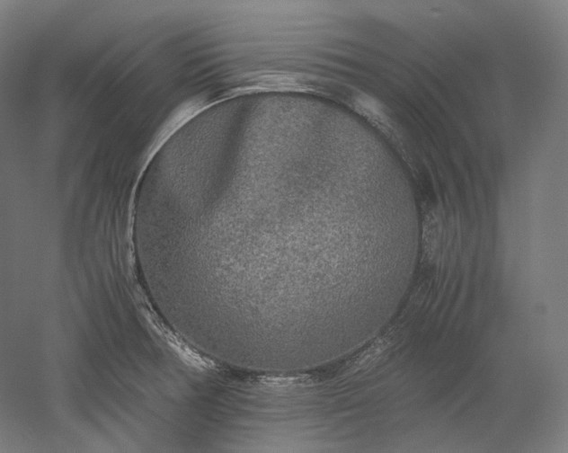 X0000052921378200507151539