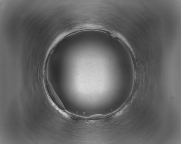X0000052921381200507151539