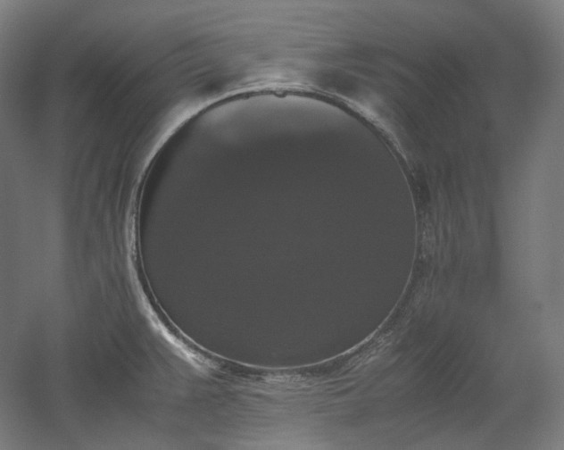 X0000052921383200507151539