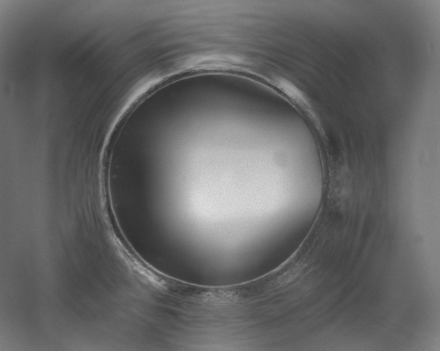 X0000052921384200507151539